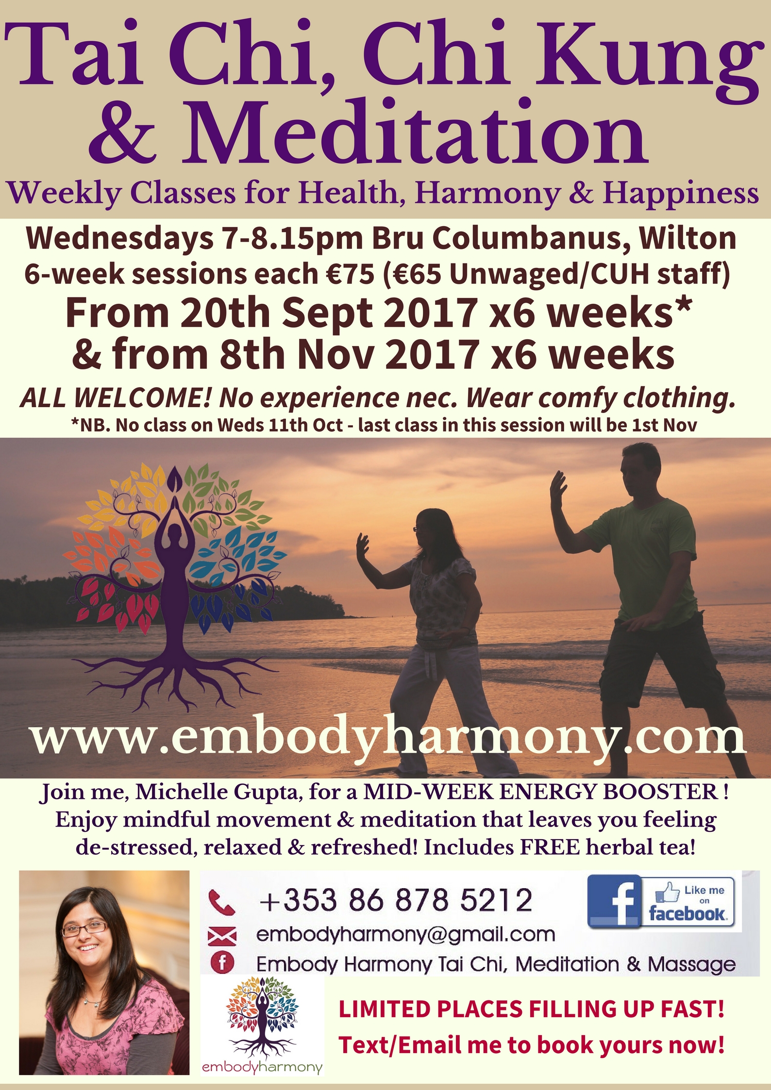Tai Chi & Meditation classes FLYERS x 2 (A5) Sept-Dec 2017 | Embody Harmony