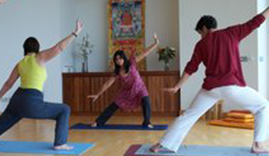 Tai Chi Classes Continue in Cork
